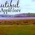 North Devon - Rock Pooling in Appledore