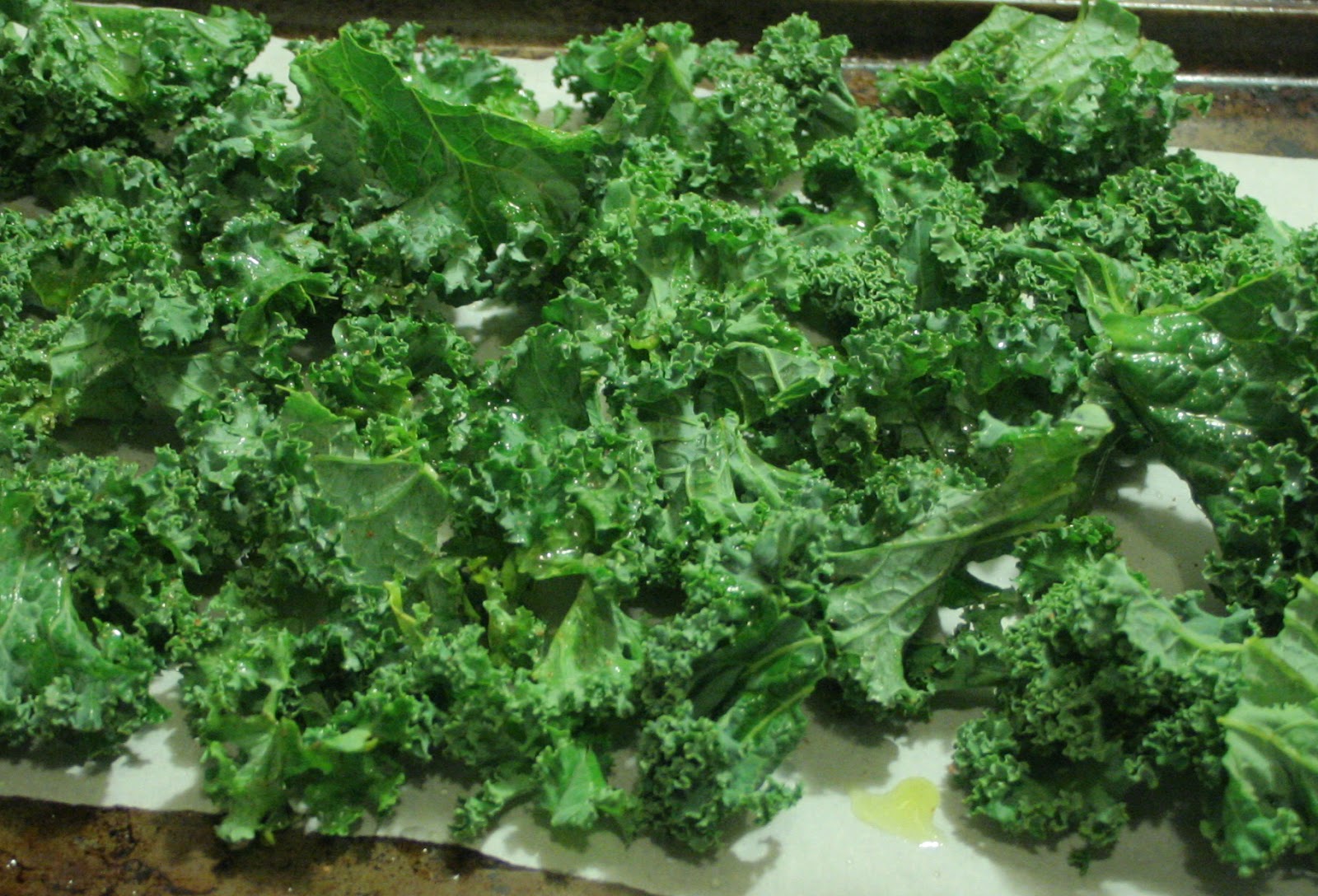A Starch Free Cookbook Kale Chips