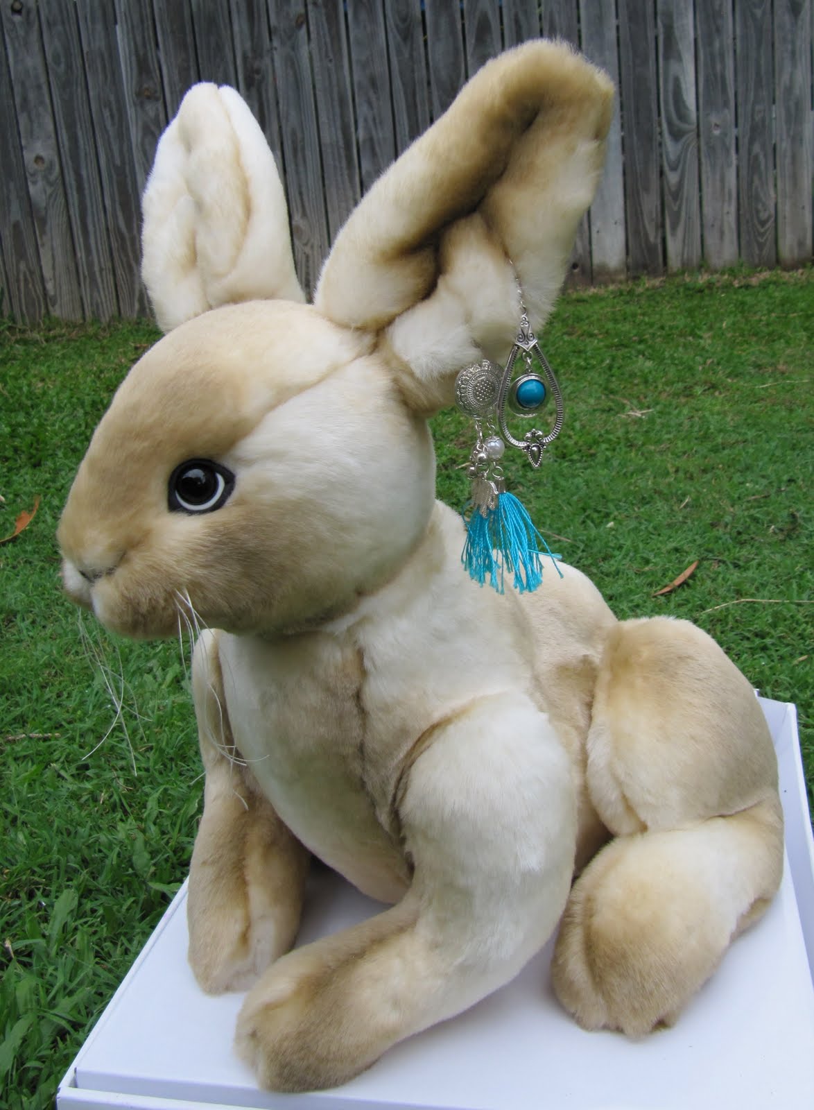 Mohair Rabbit