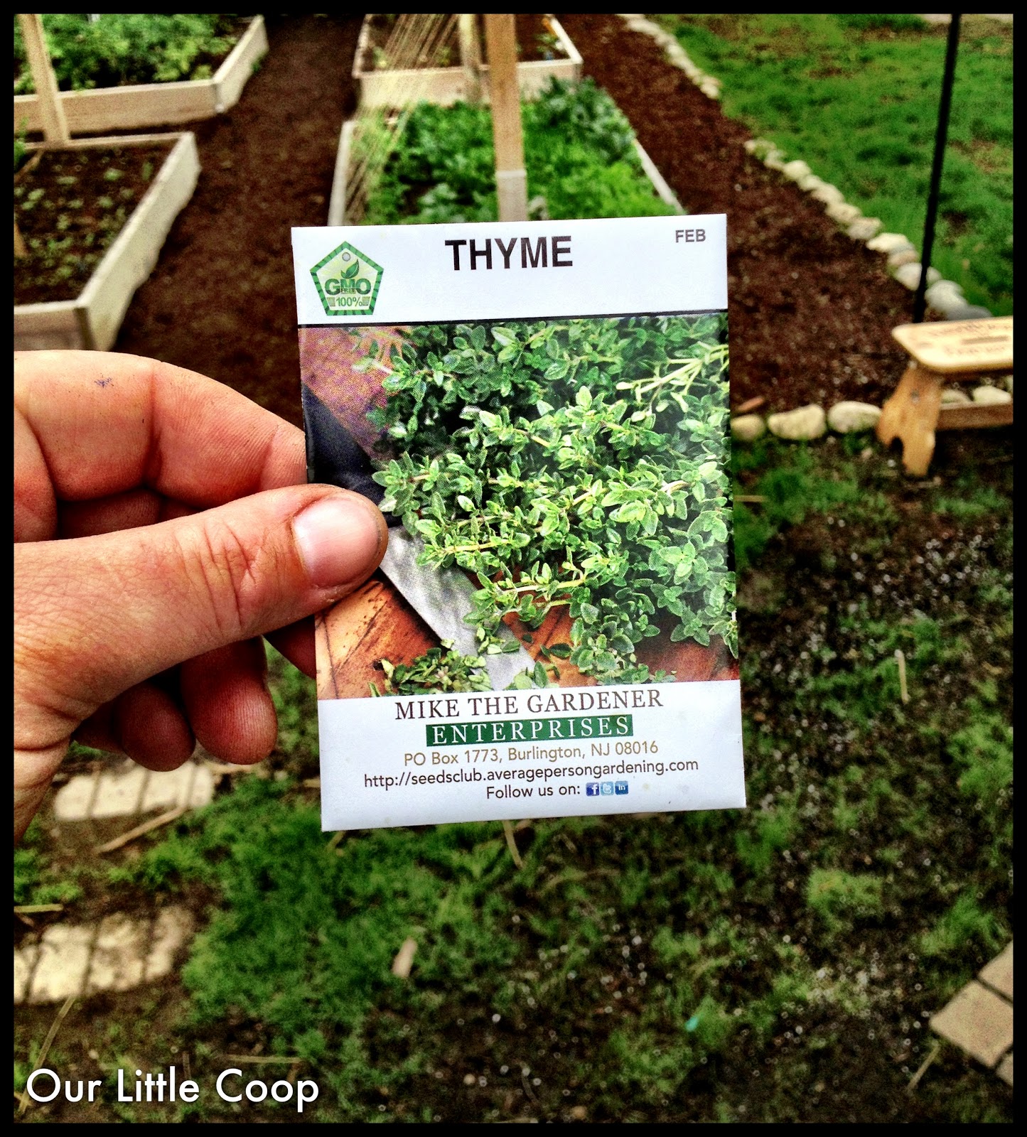 Our Little Coop May 2013