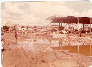 Enchente do Ano de 1981