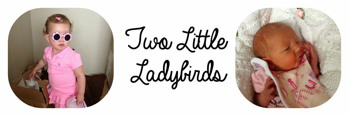 Two Little Ladybirds