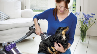 woman vacuumming dog 