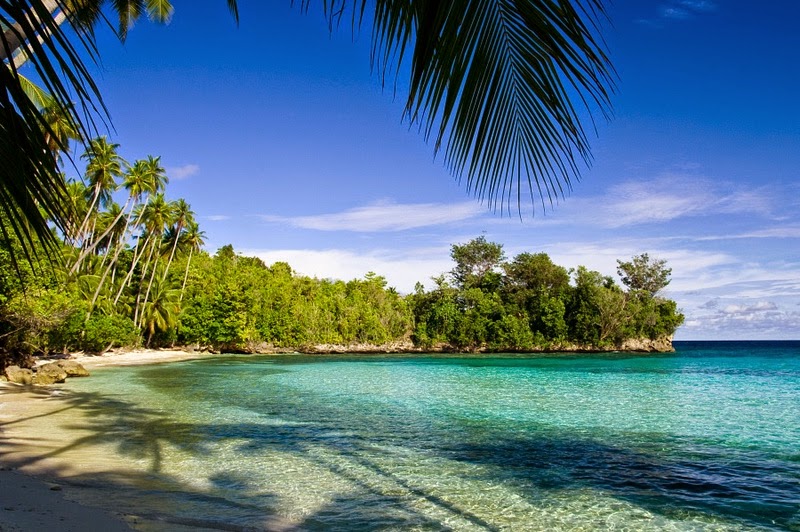 diving in togian islands