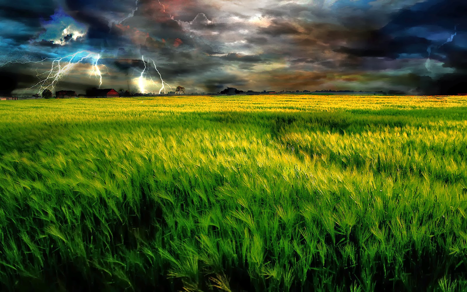 Grass Field Wallpapers ~ HD Wallpapers | Funny Videos | Hot Girls