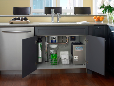 Everpure Water Filter