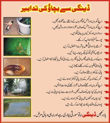 an essay on dengue in urdu an essay on dengue in urdu
