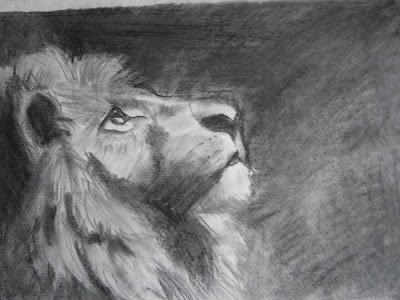 Hajnibogdan Portrait Zeichnen Nach Fotos Klagenfurt Osterreich