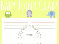 Baby Teeth Diagram Baby Teeth Diagram