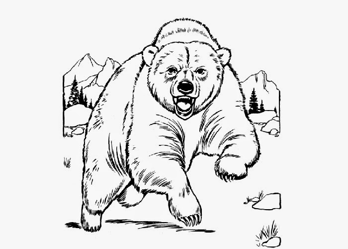 Coloring Page Of A Bear American Black Bears Coloring Pages