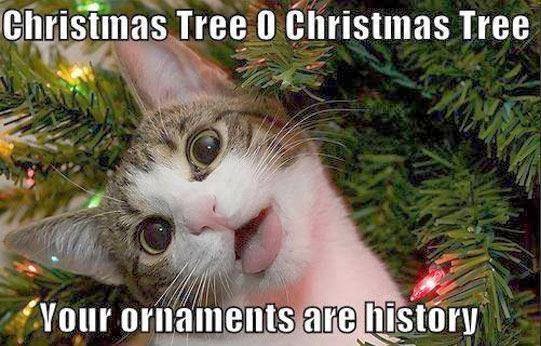 Cat Looking At Christmas Ornaments Meme Cat Looking At Christmas Ornaments Meme