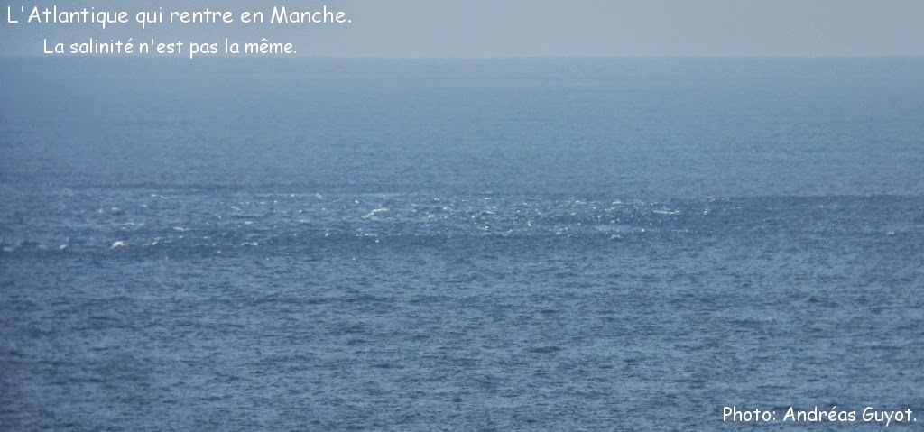 deux mer qui se rencontre