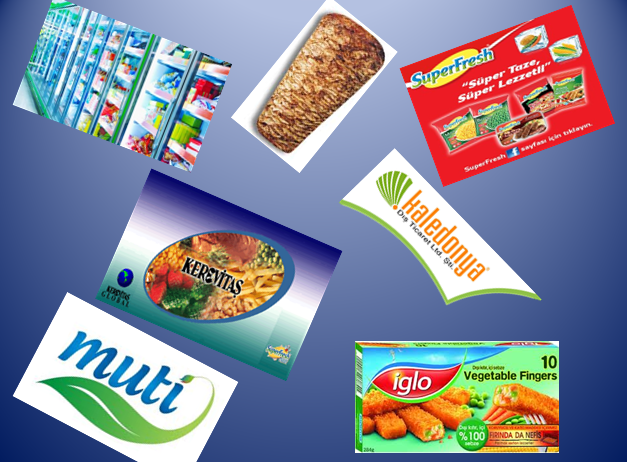 DONDURULMUŞ ÜRÜN SATAN FİRMALAR