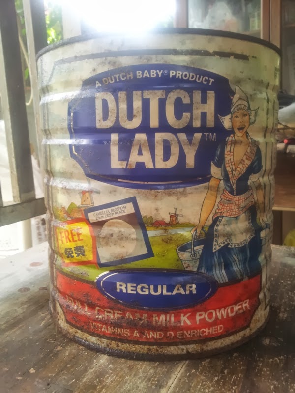 Dutch Lady