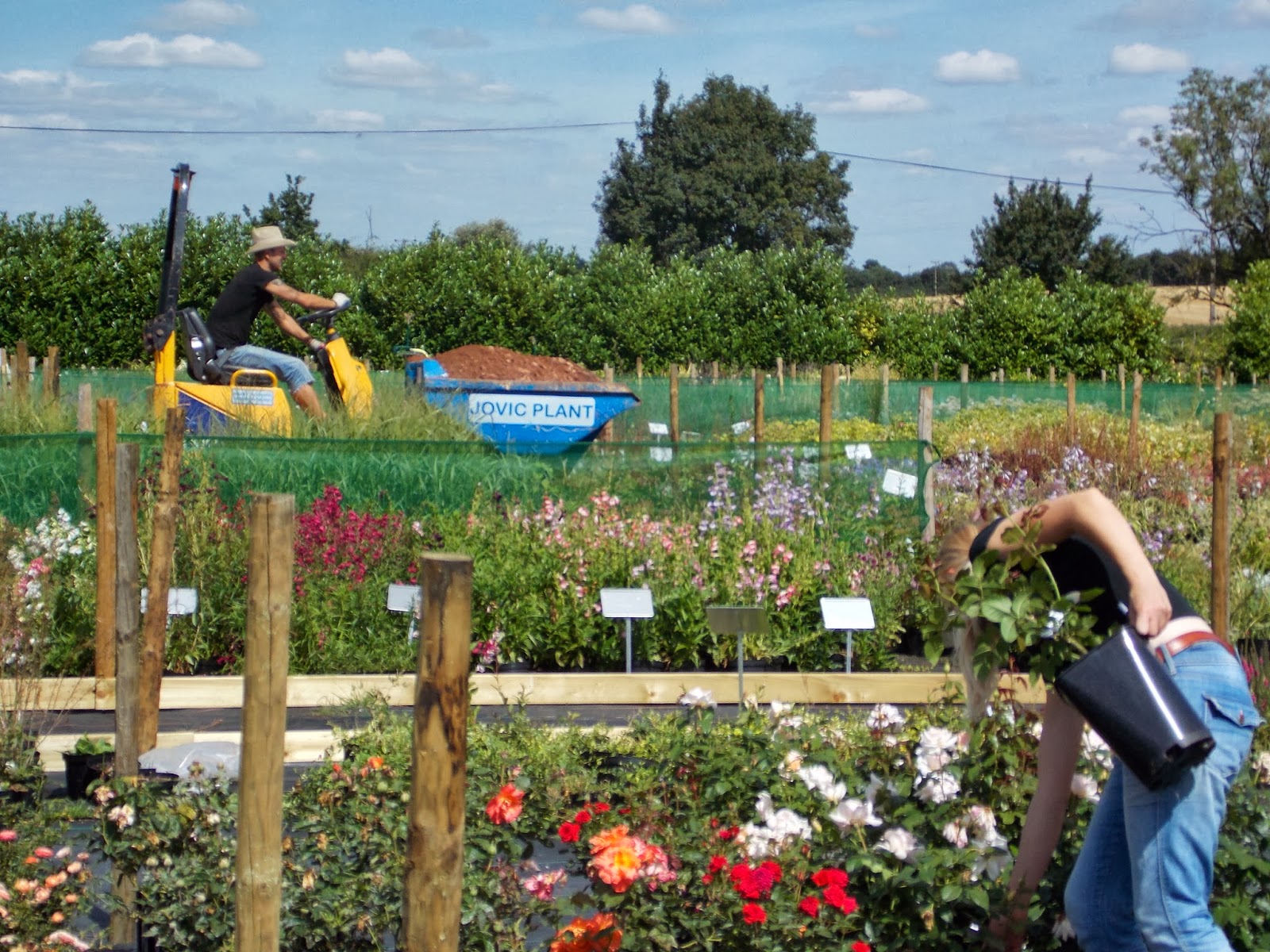 Gardening Express Notes from the Nursery October 2013