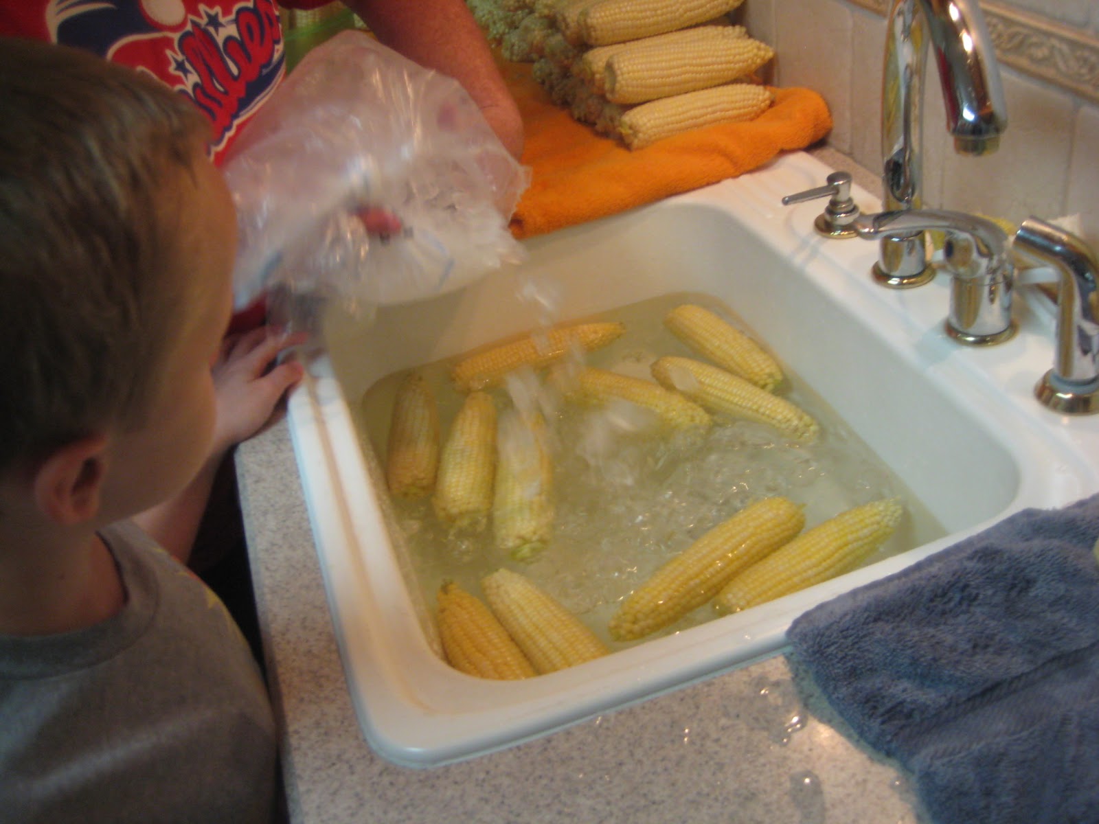 Can You Put Corn Flour Down The Sink at Jamie Frederick blog