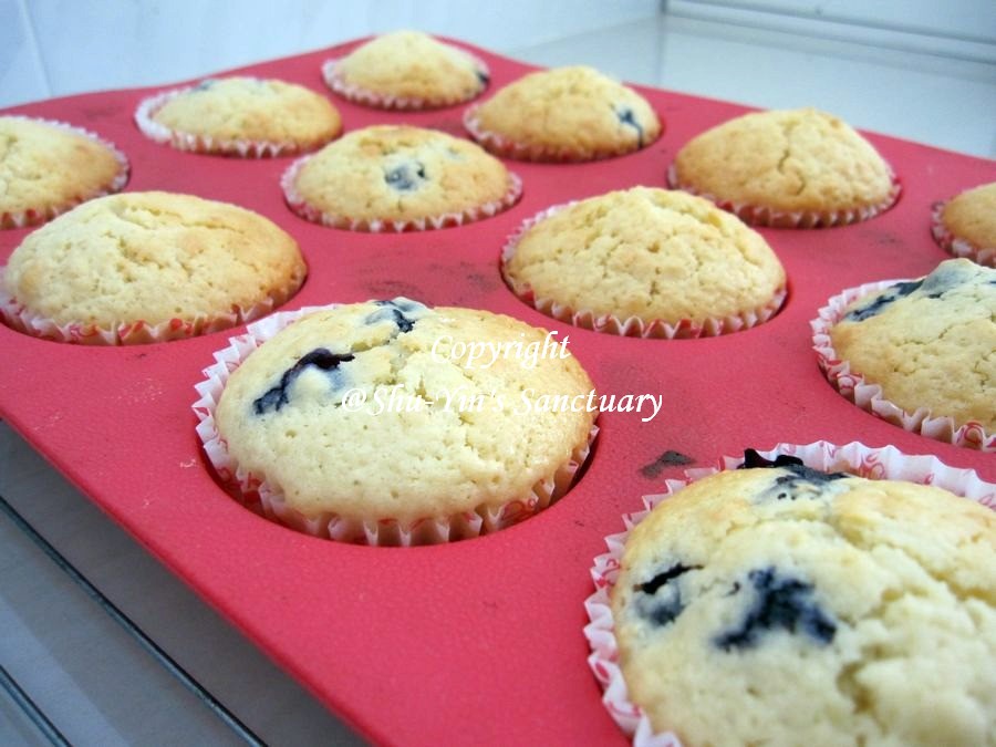 ShuYin's Sanctuary Blueberry Muffins