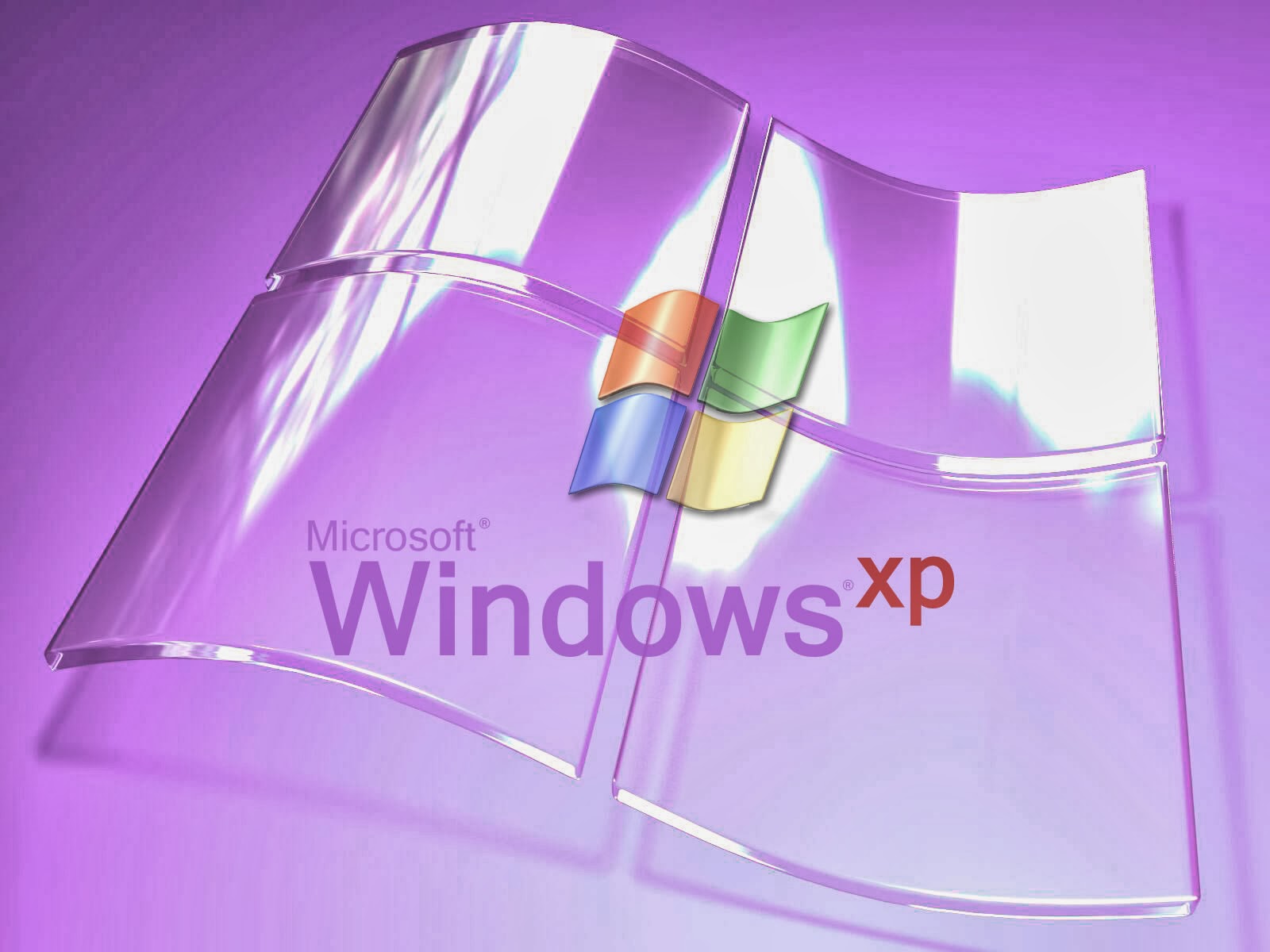 windows xp essay windows xp essay