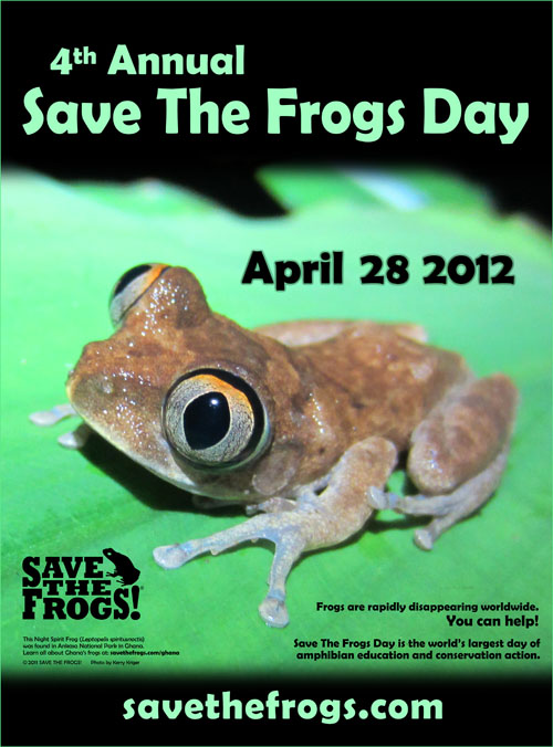 save the frogs save the frogs