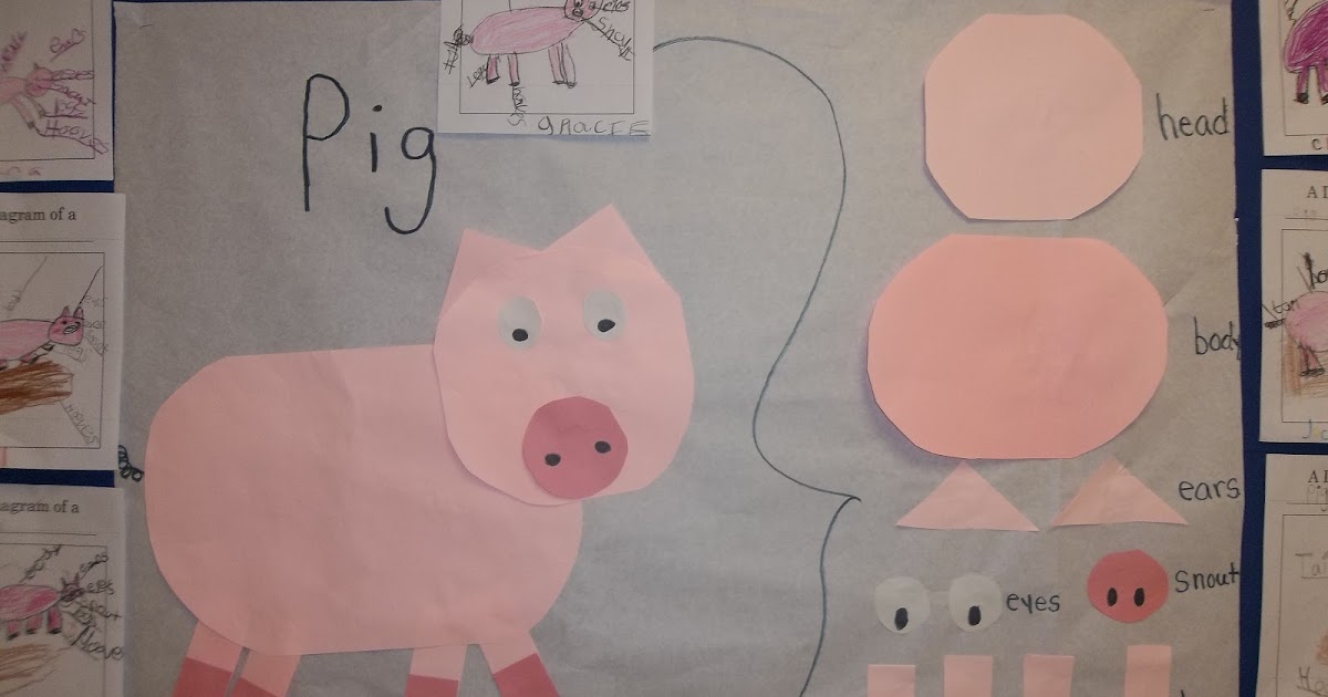 Mrs. Wood's Kindergarten Class: Animal Body Parts