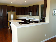 Kitchen Counter Remodel/Change