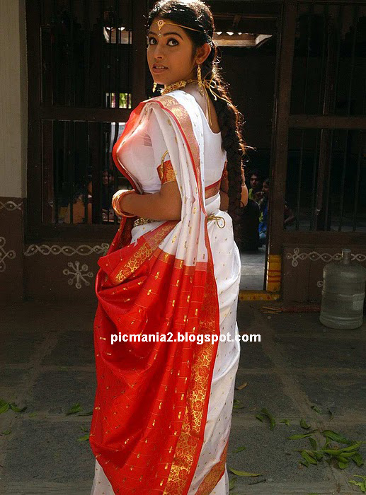 South indian actress sexy saree bikini and bra  prathishta hot image 