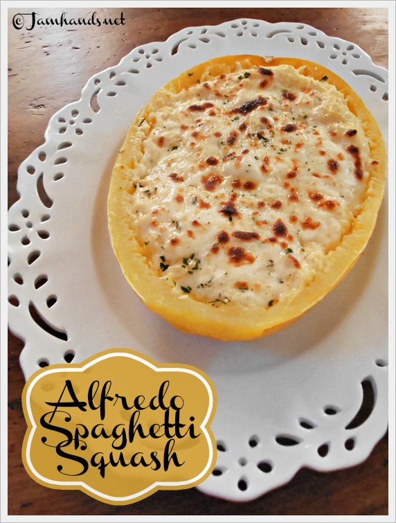 Jam Hands Alfredo Spaghetti Squash