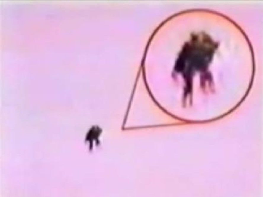 The Dark Hours - Wikipedia