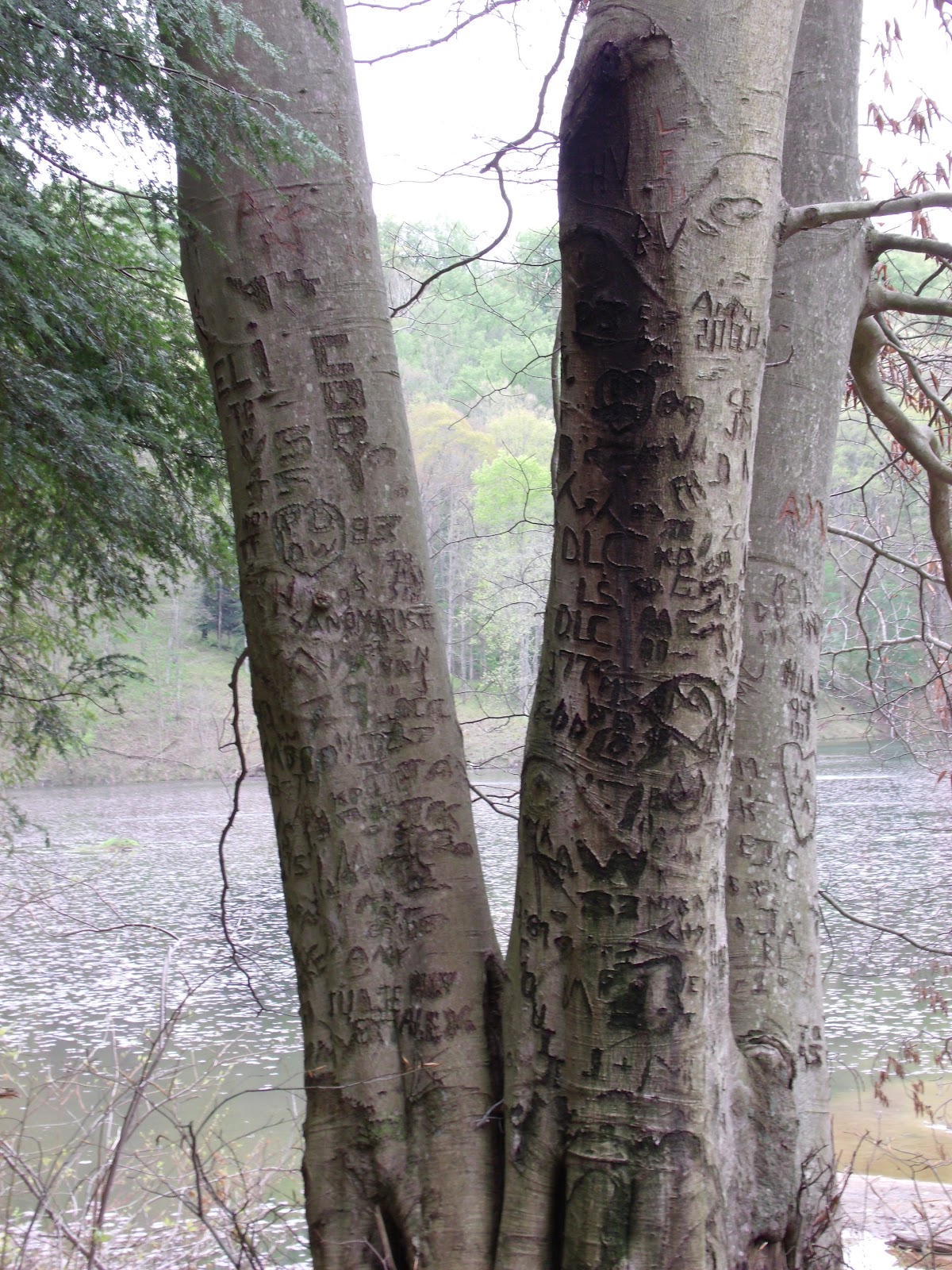 Zaleski State Forest Zaleski, Ohio Lauer's Been There Done That U.S