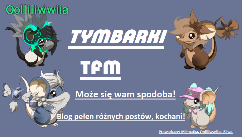 TYMBARKI TFM
