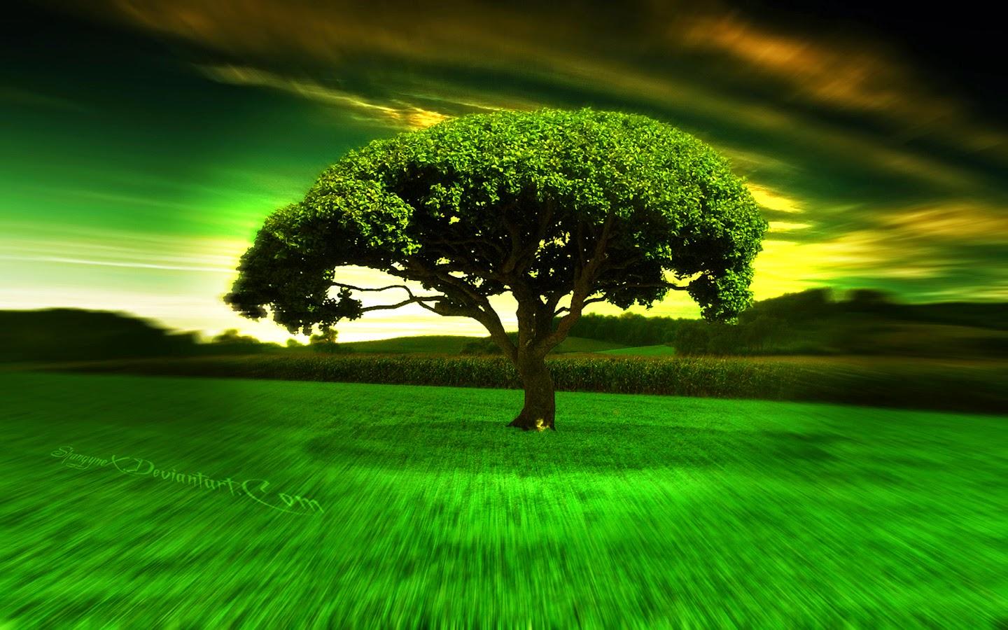 Desktop HD Wallpapers Free Download ~ HD WALLPAPERS