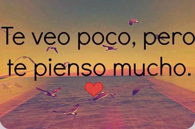 veo