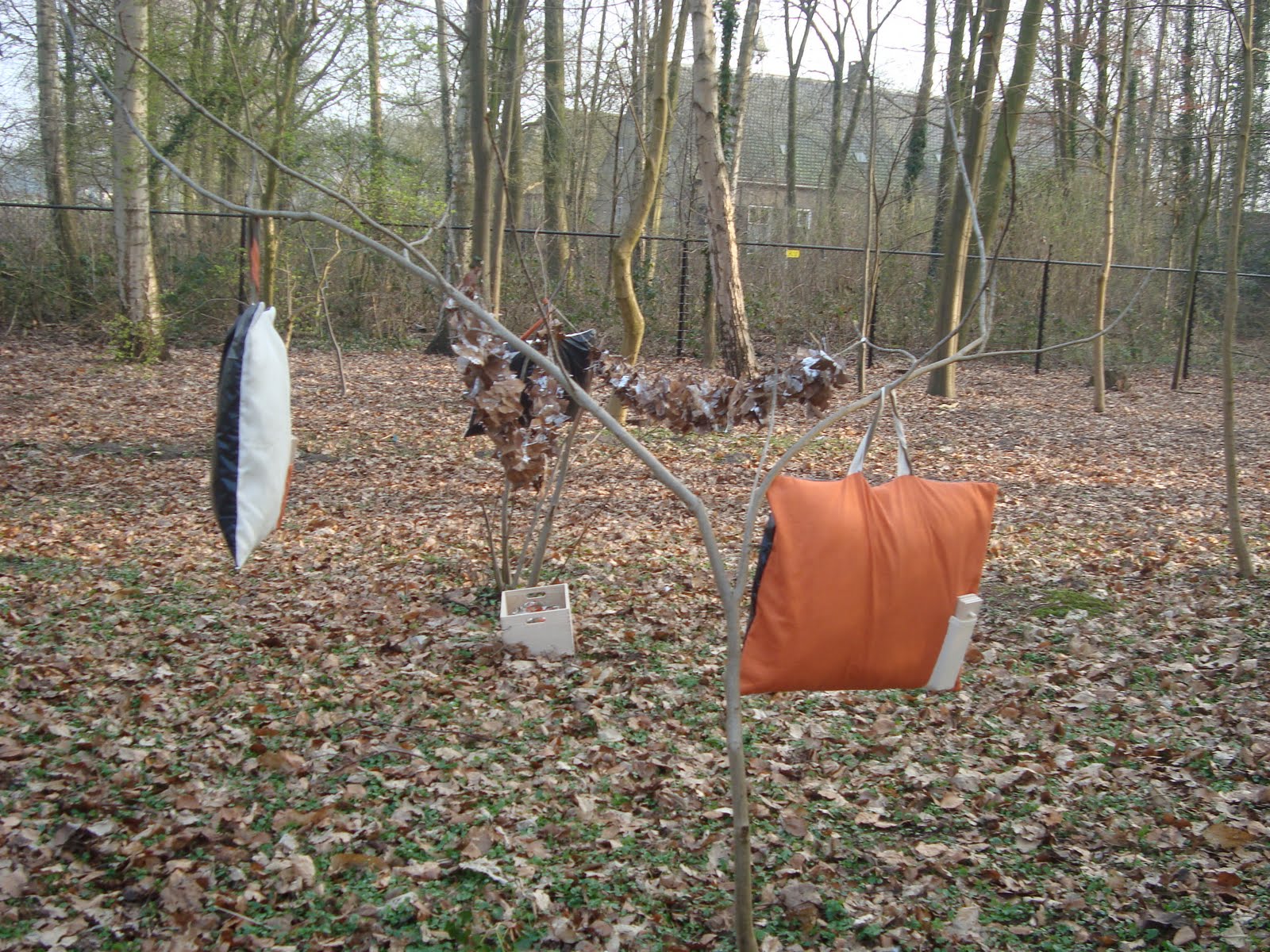 Portfolio f kortlang