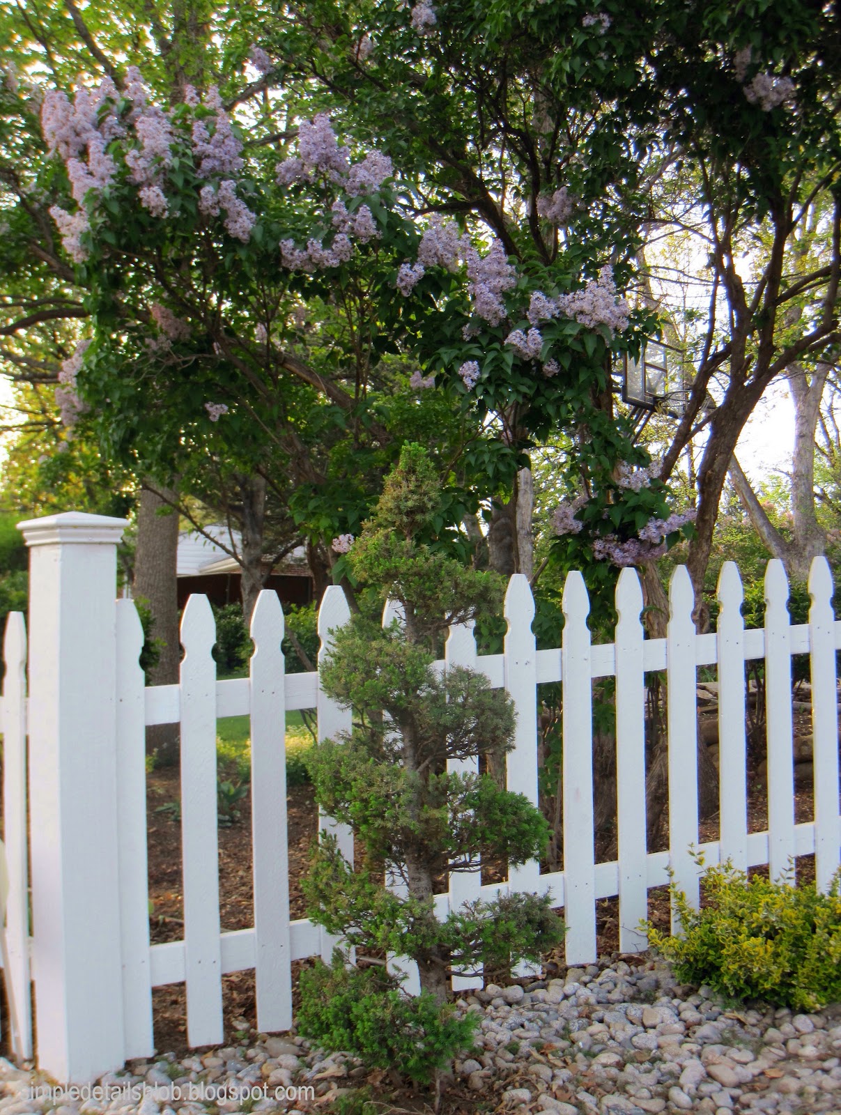 Simple Details diy evergreen spiral topiary