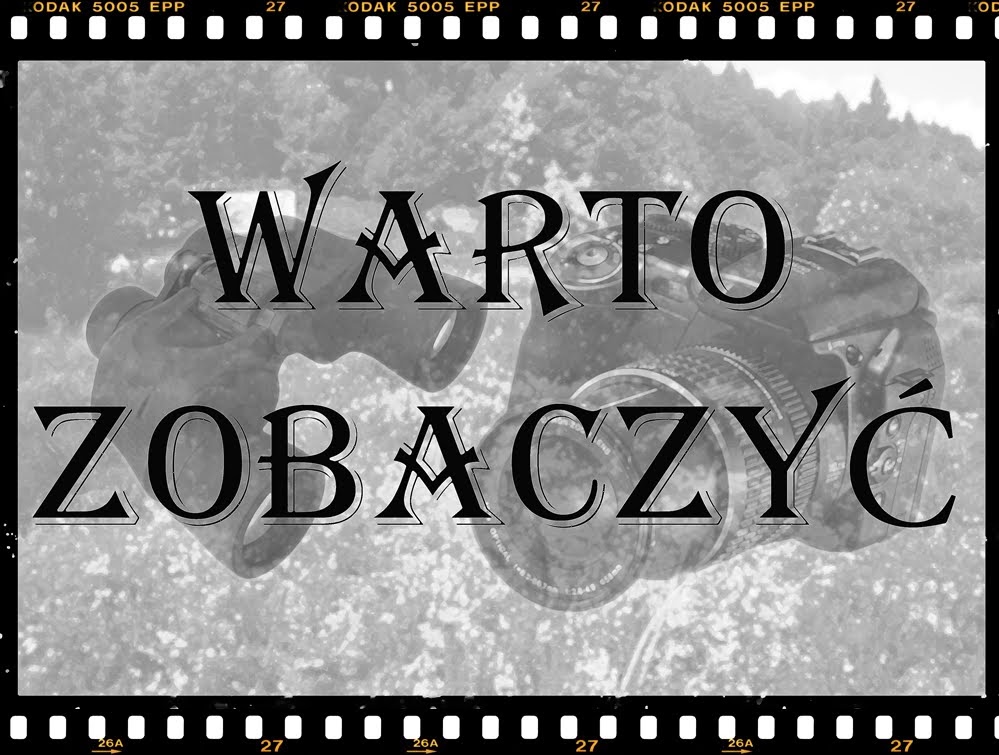 WARTO ZOBACZYĆ