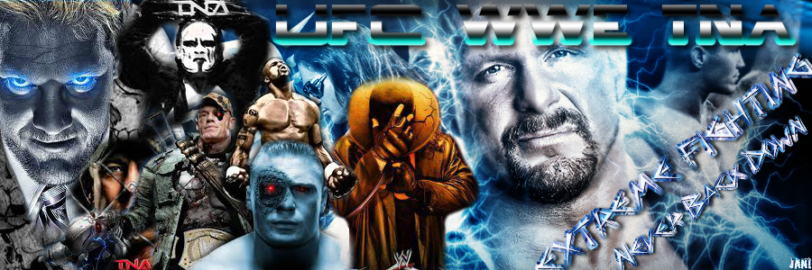 UFC,WWE,TNA