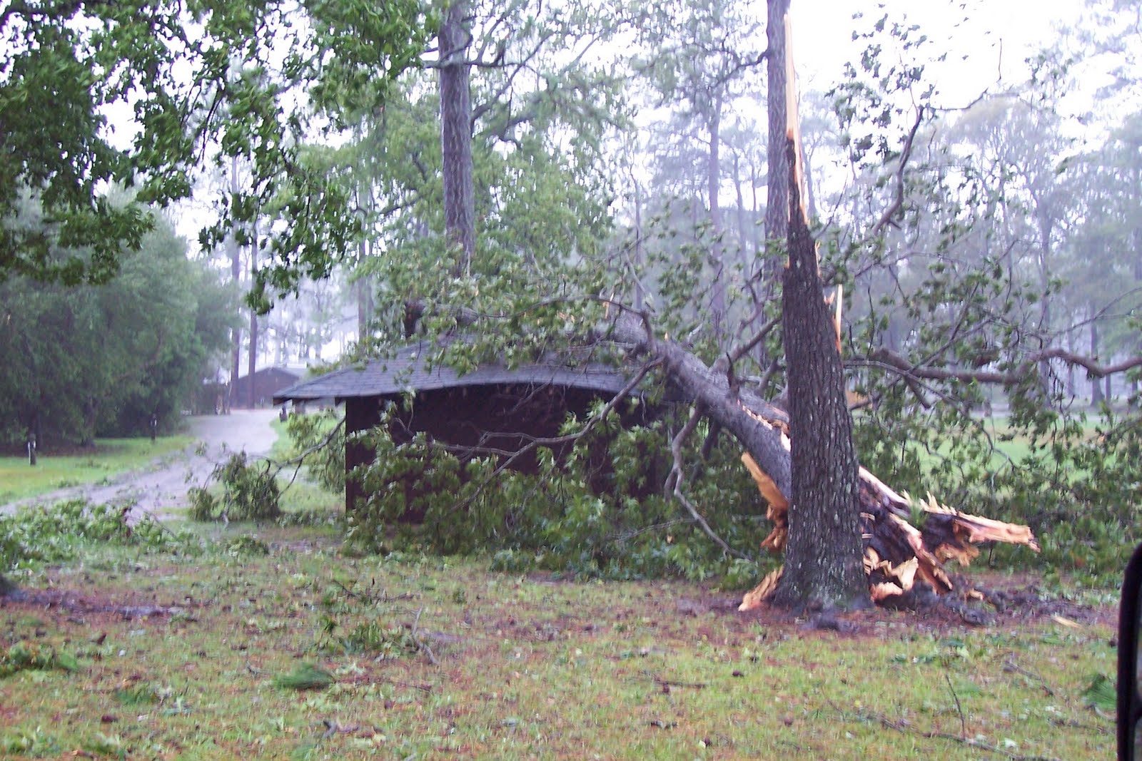 Why the Y CAMP SEAFARER & CAMP SEA GULL AFTER THE STORM