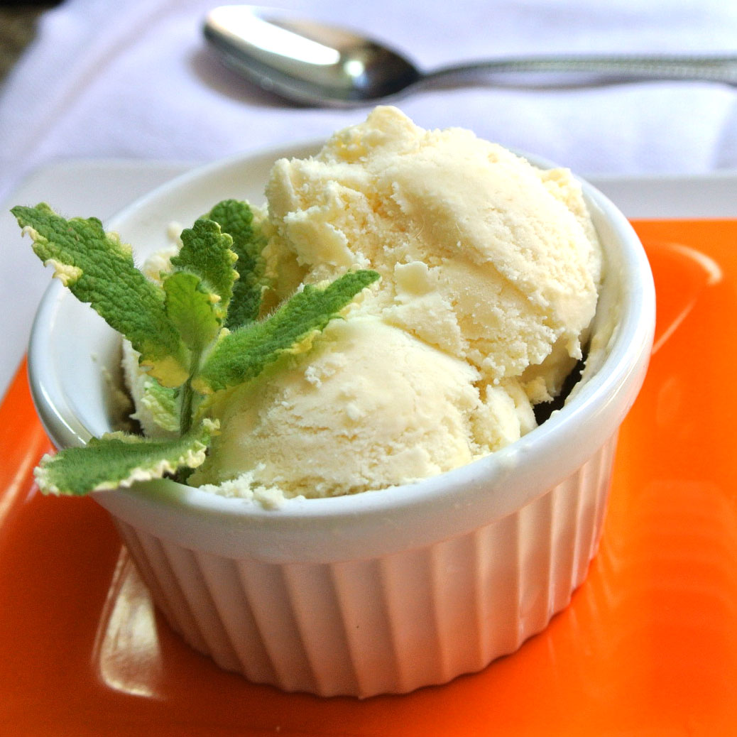 Mom, What's For Dinner? Sugar Free Tropical Ice Cream