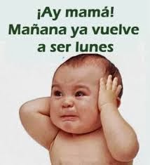 Imagenes chistosas para whatsapp (Imagenes) Imagenes chistosas para whatsapp (imagenes para facebook imagenes de frases )