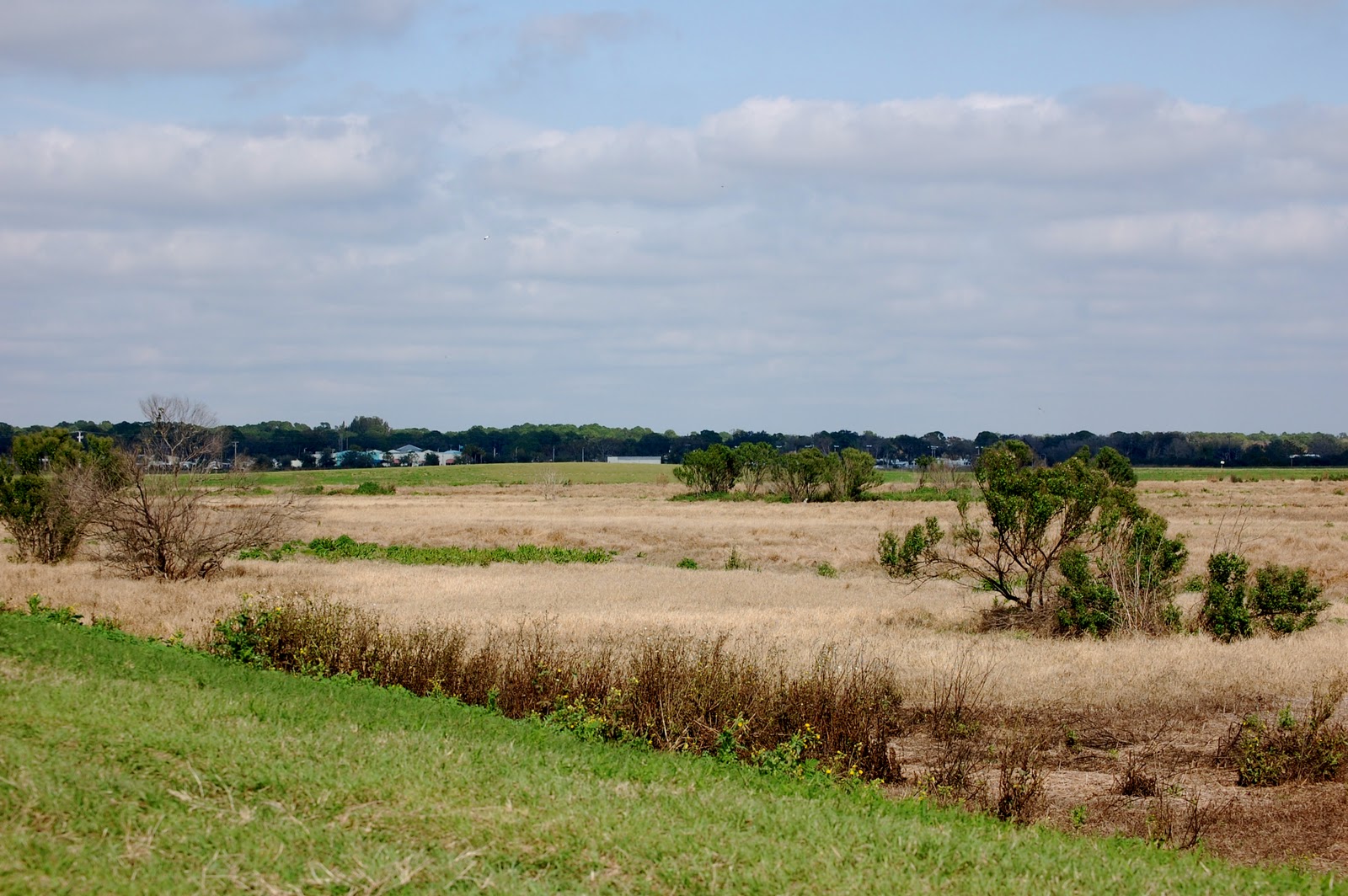 Field Notes and Photos Celery Fields Preserve