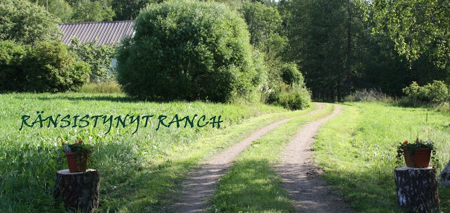 Ränsistynyt ranch
