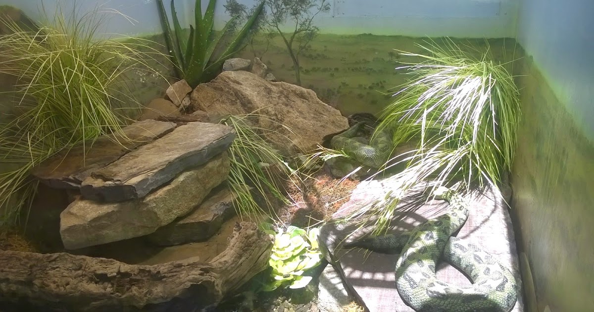 reptile artificial plants