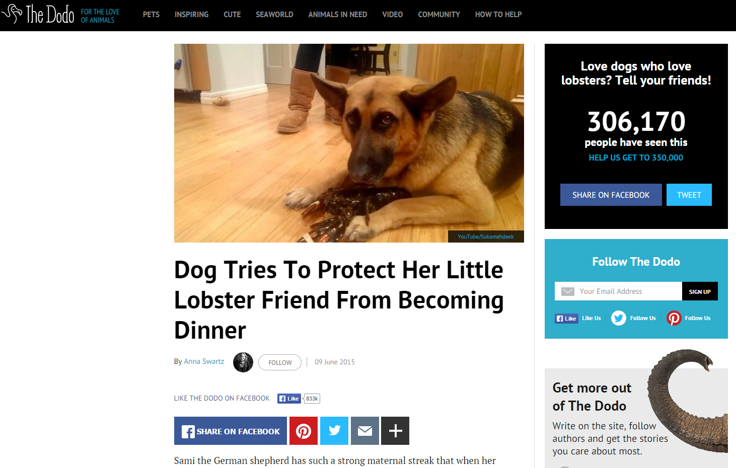 The Nihon Ken: The Dog and the Lobster