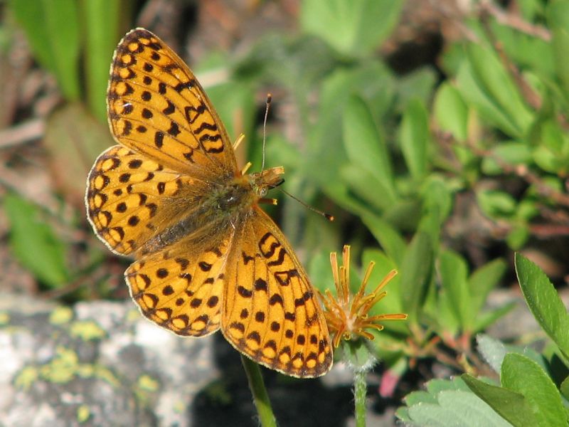 Never Listless: October 31st... Time For Some Halloween Jokes