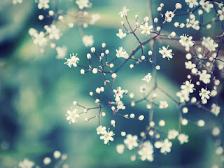 最近用狂吃來化解壓力的星座