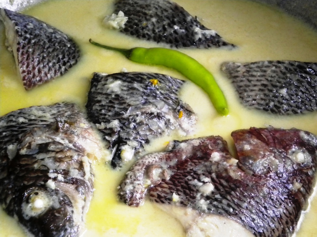 one cooking momma paksiw na tilapia sa gata at luyang dilaw