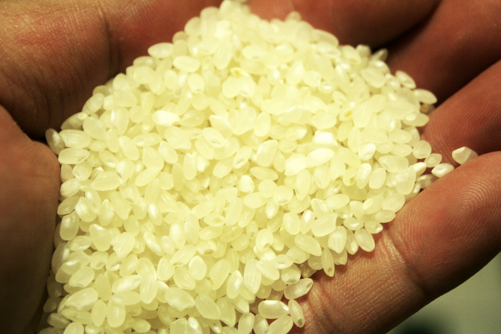Cash Milk Bulk Rice Purchase