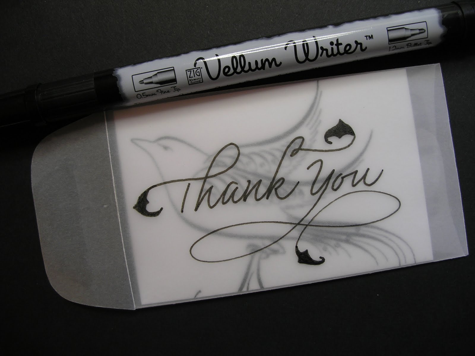 Kuretake UK Blog The ZIG Interview Calligrapher Jane Farr