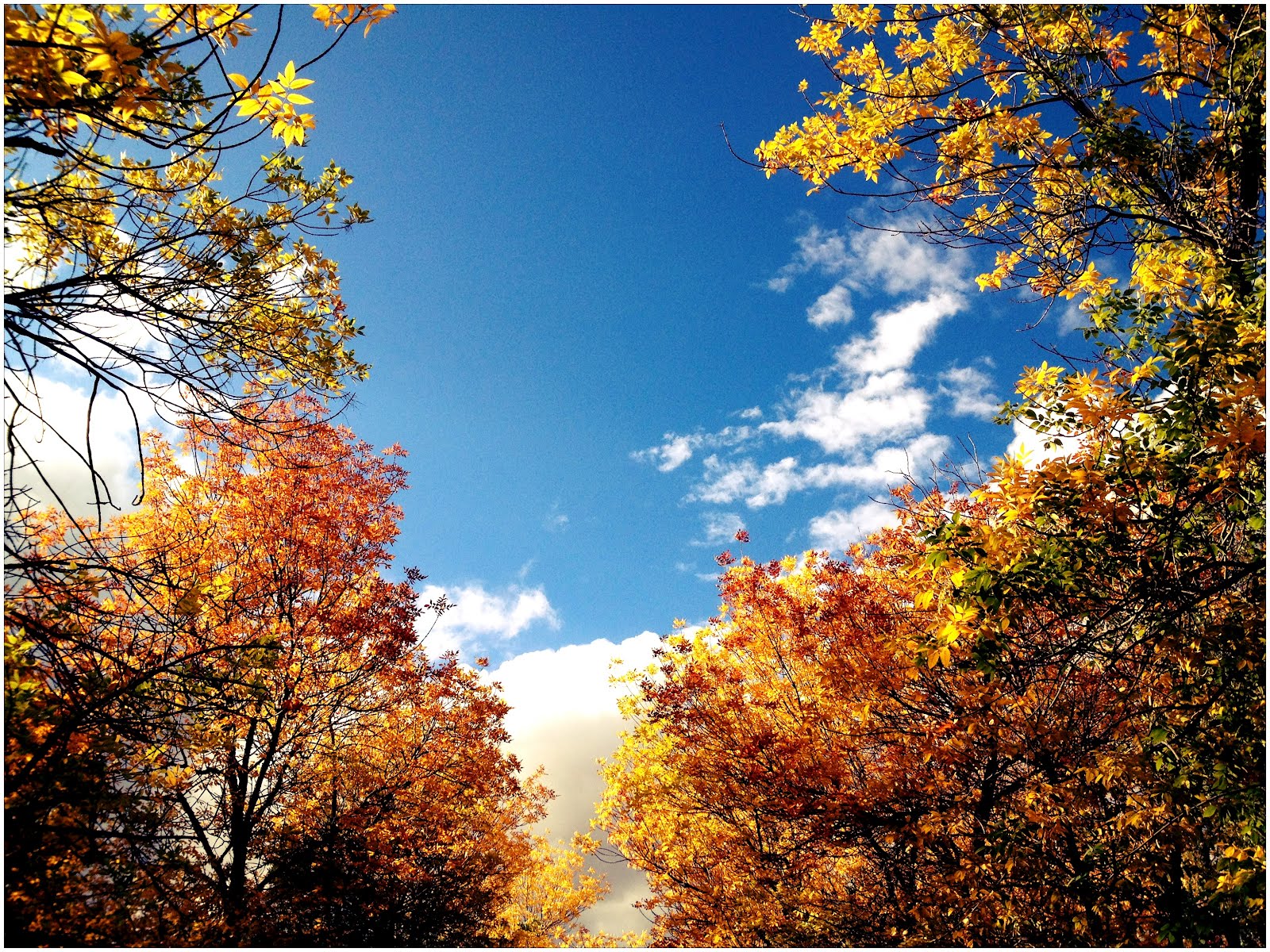 Мир Фото Уральская