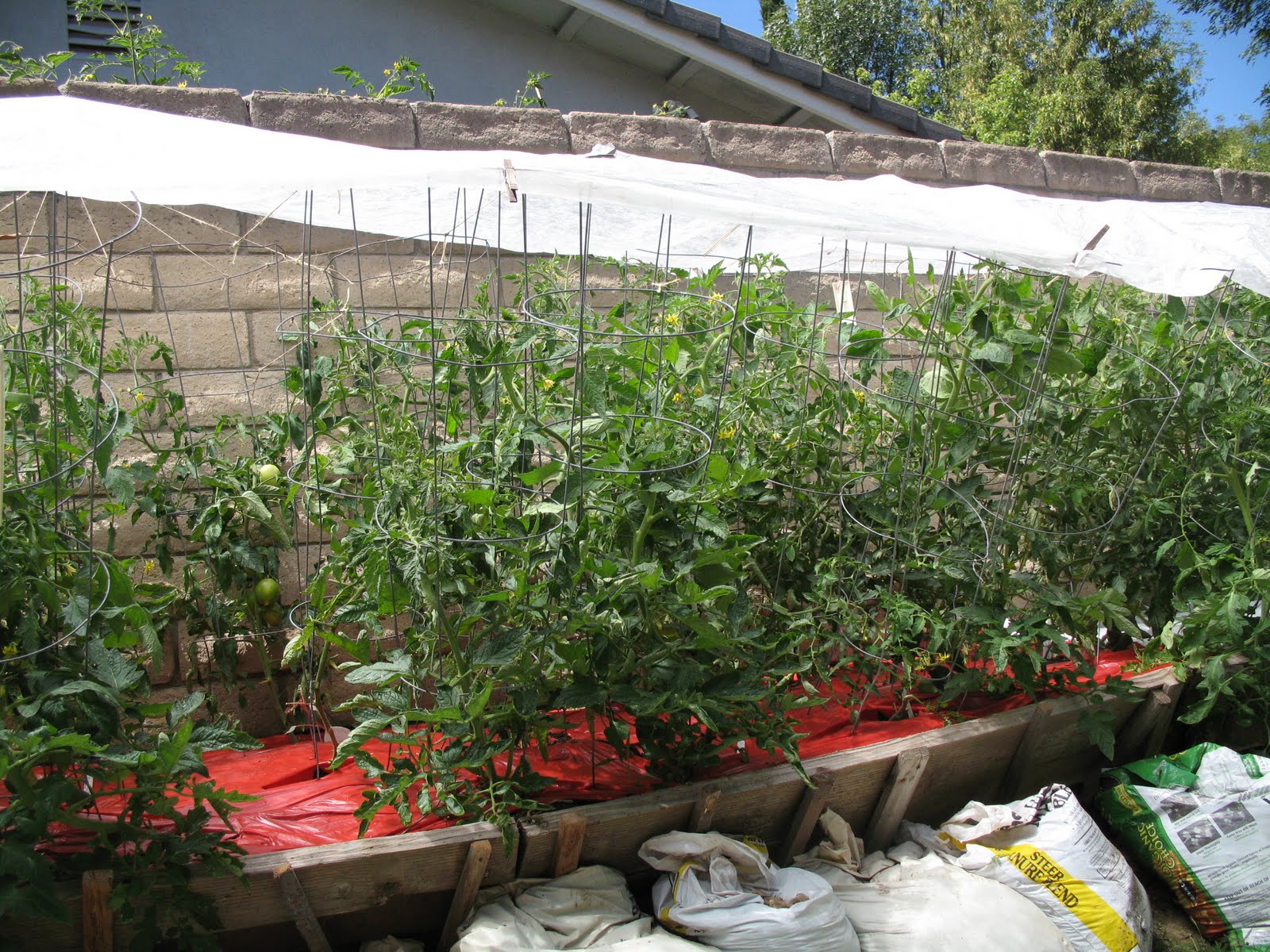 Gardens At Home The Tomatoe Garden Frost Protection